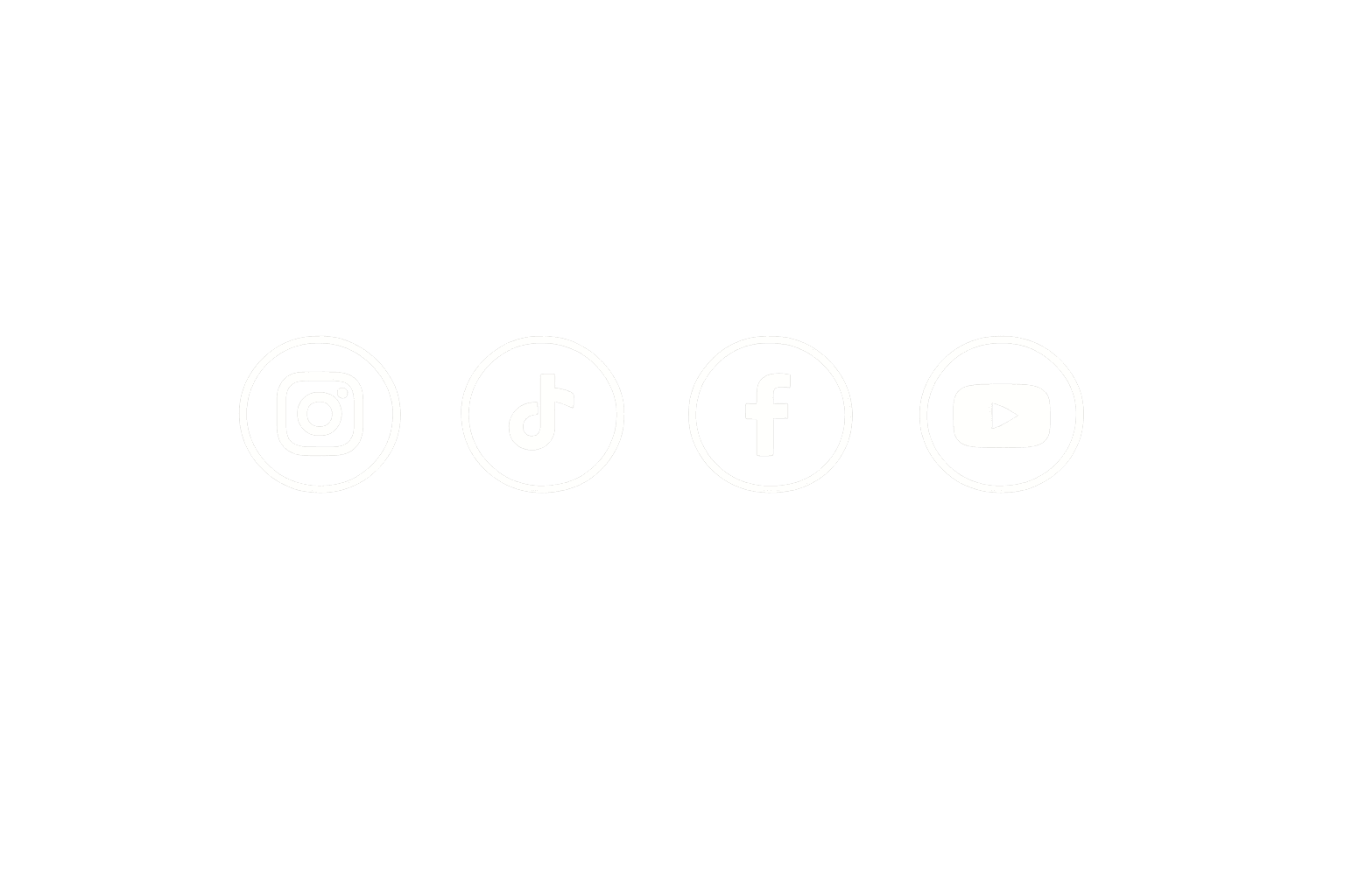 Instagram, TikTok, Facebook y YouTube